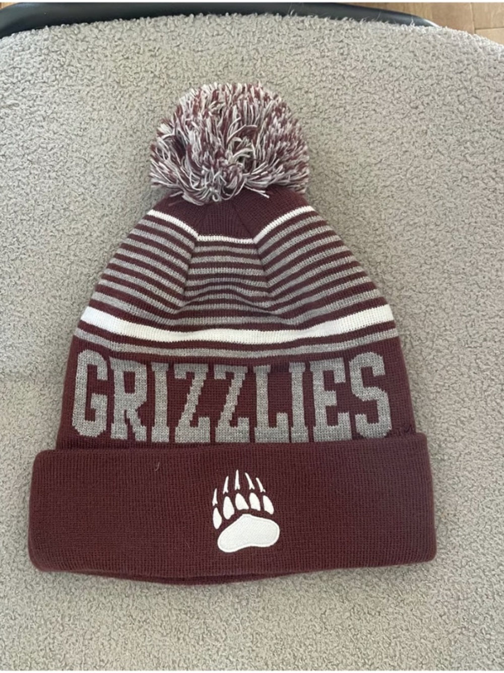 Montana Grizzlies Winter Hat